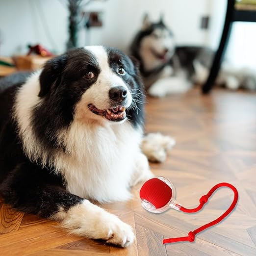 Interactive Rolling Ball for Dogs with Tail, Chase Mate Cat Toy, Electric Smart Automatic Rolling Pet Ball, Durable and Safe, Reduces Anxiety and Boredom