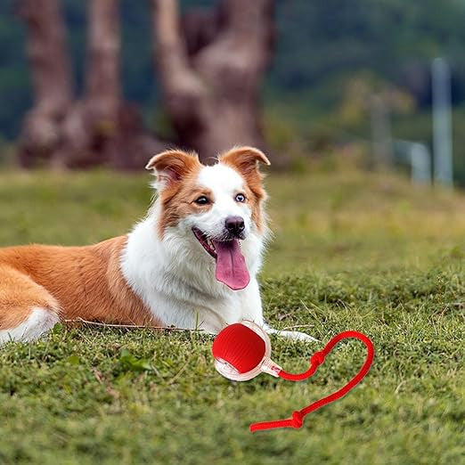 Interactive Rolling Ball for Dogs with Tail, Chase Mate Cat Toy, Electric Smart Automatic Rolling Pet Ball, Durable and Safe, Reduces Anxiety and Boredom