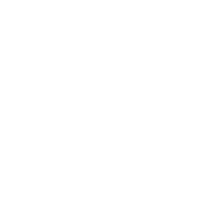 Made in India